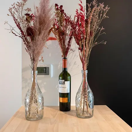 Сasa de vacaciones Joanitas *